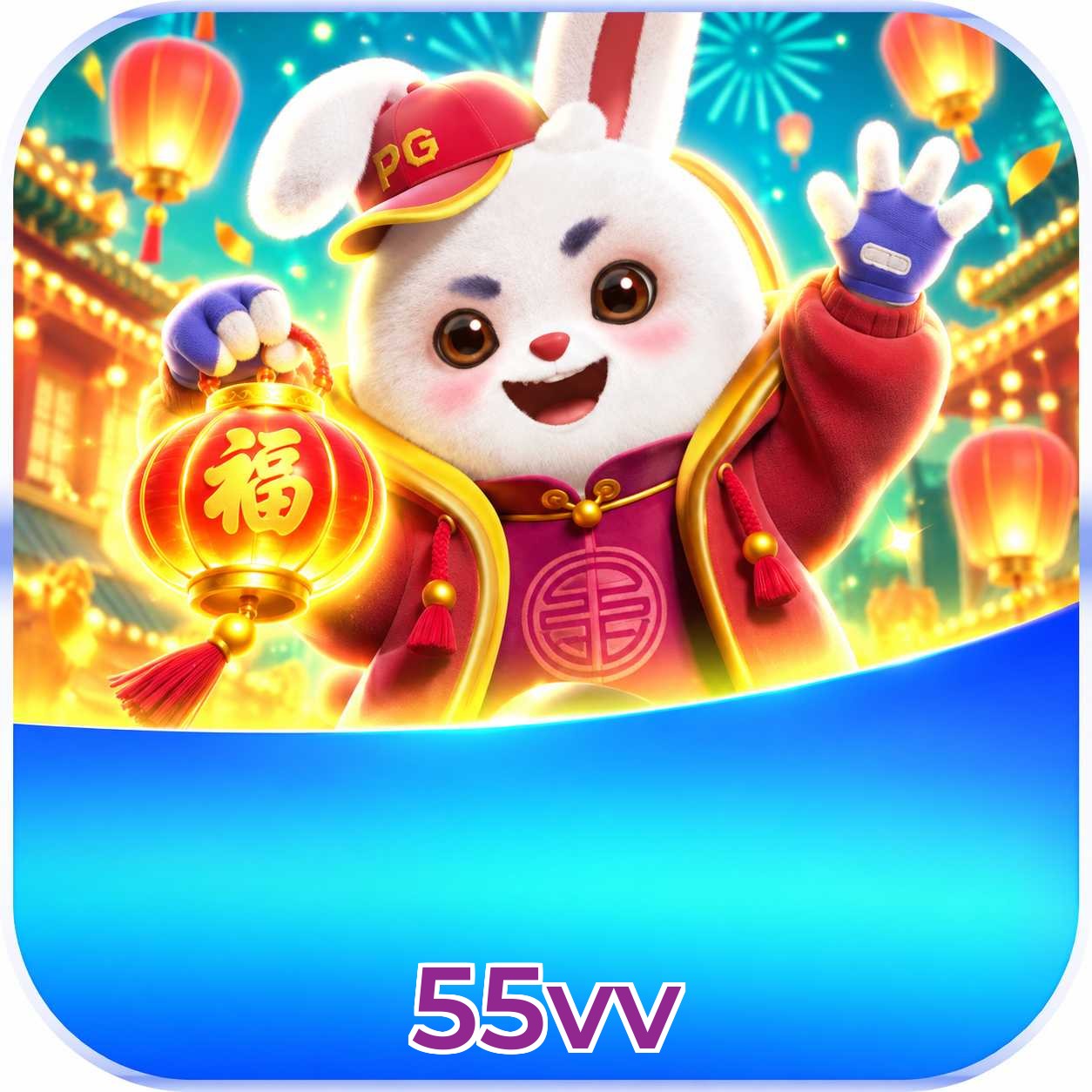 55vv Installation Guide