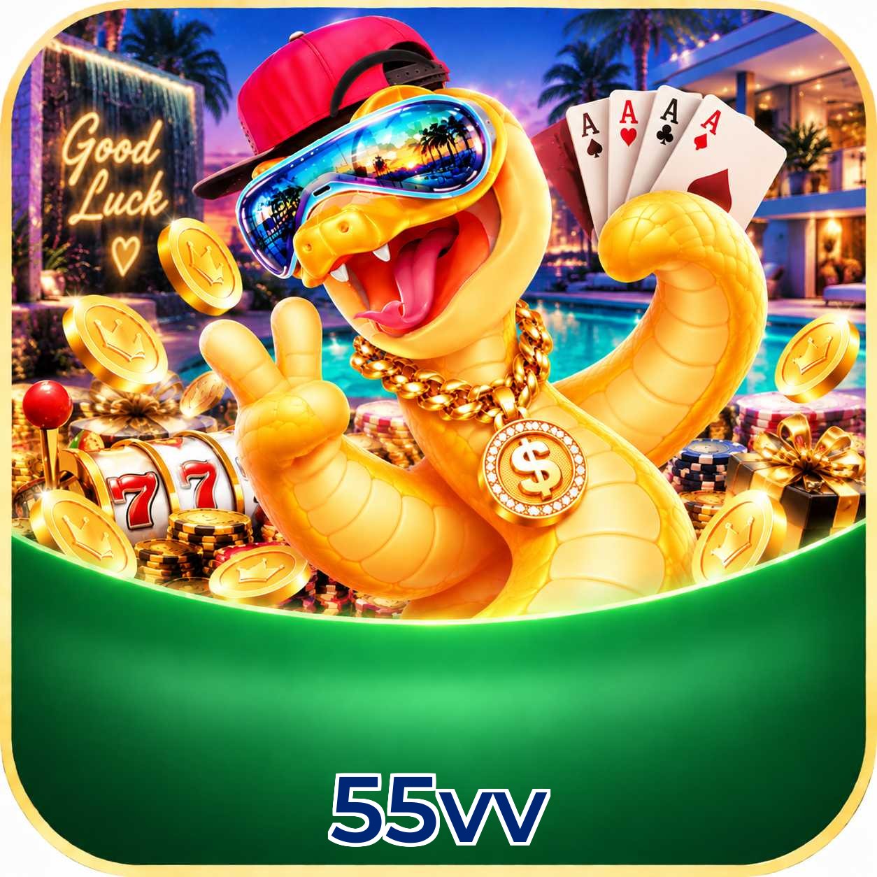 55vv Requirements